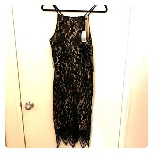Forever 21 Lace Dress NWT